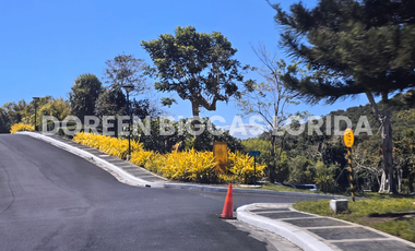 FOR SALE: 702sqm Village Residential Lot in Calamba Laguna - Ayala Greenfield Estates