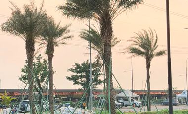 Ruko lokasi Terbaik di Gading Serpong, Berhadapan Langsung dengan Taman Rasa, Cocok Untuk Usaha Kuliner