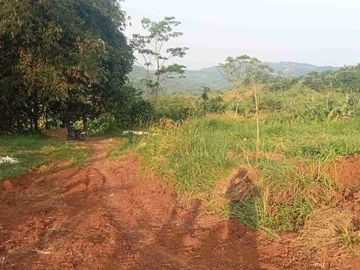 Kebun + Sawah 3000 m, Dekat Pintu Tol, Akses Masuk Mobil. Darangdan, Purwakarta.
