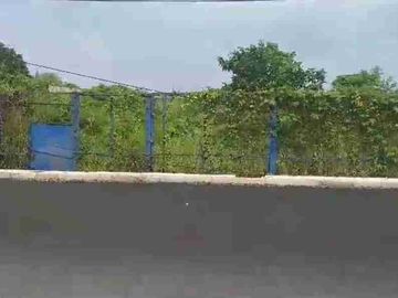 Jual Cepat Tanah Nol Jalan Gedangan Purijaya Lok Strategis Area Ramai
