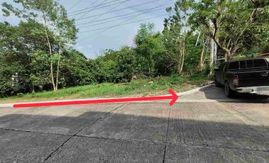 Lot for sale in Cebu City, Garnetville Subdv.