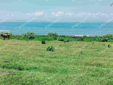 TANAH LOS PANTAI 2.4 HEKTAR DI CUPEL JEMBRANA