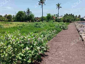 TANAH LOS PANTAI 2.4 HEKTAR DI CUPEL JEMBRANA