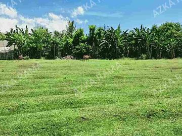 TANAH LOS PANTAI 2.4 HEKTAR DI CUPEL JEMBRANA