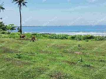 TANAH LOS PANTAI 2.4 HEKTAR DI CUPEL JEMBRANA