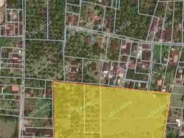 TANAH LOS PANTAI 2.4 HEKTAR DI CUPEL JEMBRANA
