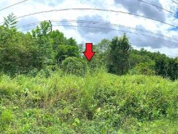 ZLL0054 ขายที่ดินเปล่า ตำบล เนินทราย อำเภอ เมืองตราด จังหวัด ตราด