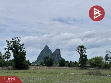 ขายที่ดิน เนื้อที่ 13 ไร่ เขาย้อย เพชรบุรี