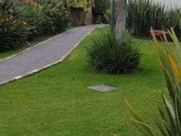 CASA EN RENTA AMUEBLADA FRACC SENDERO LAS MORAS, UNA PLANTA 2 RECAMARAS 2 BAÑOS