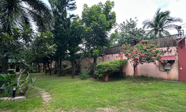FARM FOR SALE: 2.5 Hectare Gated Farm Land with Houses, Zoo, and Event Hall in Santo Tomas, Batangas