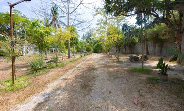 San Pablo, Laguna Prime Farm Lot for Sale!