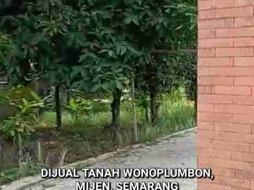 DIJUAL TANAH WONOPOLO, MIJEN SEMARANG. POSISI HOOK NEMPEL JALAN UTAMA PERUMAHAN PANDAWA DAN PERUMAHAN WANA HIJAU MIJEN, SEMARANG