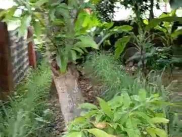 DIJUAL TANAH WONOPOLO, MIJEN SEMARANG. POSISI HOOK NEMPEL JALAN UTAMA PERUMAHAN PANDAWA DAN PERUMAHAN WANA HIJAU MIJEN, SEMARANG