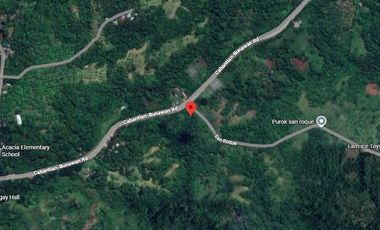 For Sale: 131, 523 SQM Commercial Lot in Davao City
