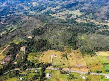 Vendo finca ganadera/cultivo / turística