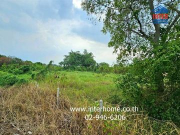 A 3 rai, 263.9 sq.wa (approximately 1.2 acres) vacant land plot located on the Chao Phraya River in Pathum Thani City, near Wat Thian Thawai and on Ba