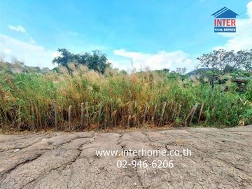 A 3 rai, 263.9 sq.wa (approximately 1.2 acres) vacant land plot located on the Chao Phraya River in Pathum Thani City, near Wat Thian Thawai and on Ba