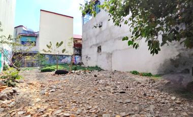 120 sqm Fourth Estate Subdivision San Antonio Paranaque Residential Lot for sale