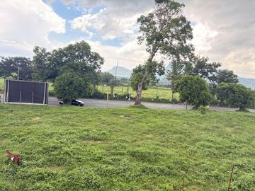6.5M Commercial Lot in Sambat Balayan Batangas For Sale - LSS
