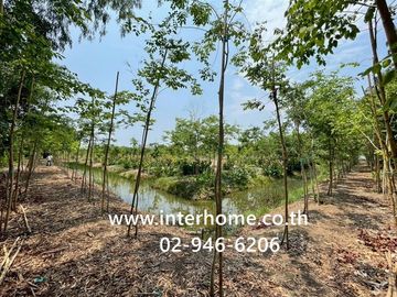3 rai (approximately 1.2 acres) of vacant land near the Provincial Electricity Authority, Nong Suea branch, Soi Tesaban 6, Rangsit-Nakhon Nayok Road,