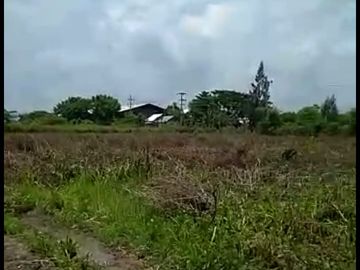 Dijual Tanah Industri kec Widang Tuban