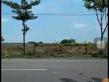 Dijual Tanah Industri kec Widang Tuban