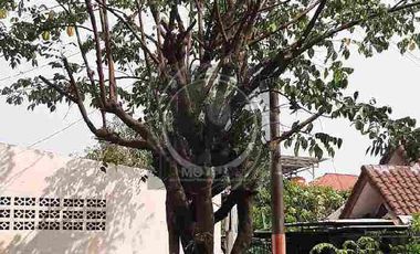 rumah klasik siap huni