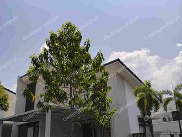 Dijual Rumah Slow Living Di Podomoro Park Buah Batu