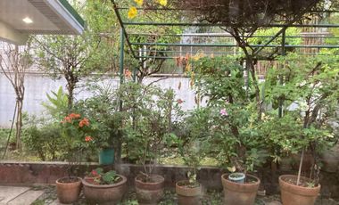 432sqm OLD HOUSE FOR SALE IN VALLE VERDE 5