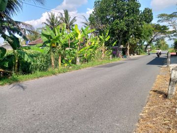 DIJUAL SAWAH ZONA KUNING KEBONALAS, MANISRENGGO MANGKU JALAN KIKIS