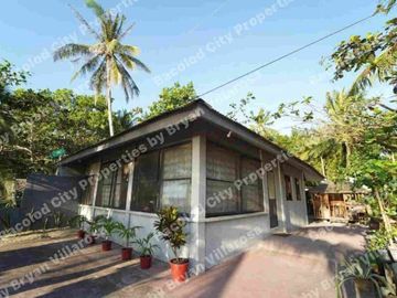 Beach Property for Sale in Hinigaran, Negros Occidental