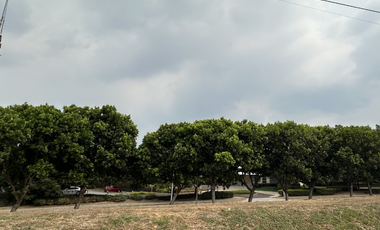 273 SQM LOT FOR SALE IN VENARE NUVALI @ 11,466,000 ONLY