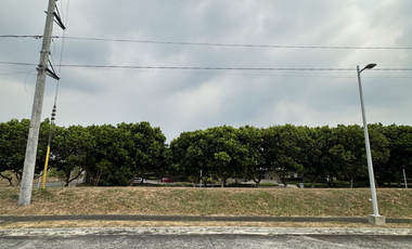 273 SQM LOT FOR SALE IN VENARE NUVALI @ 11,466,000 ONLY