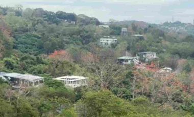 MULTIPLE PRIME ADJACENT CORNER RESIDENTIAL LOTS IN PARKRIDGE ESTATE VALLEY GOLF CLUB ANTIPOLO