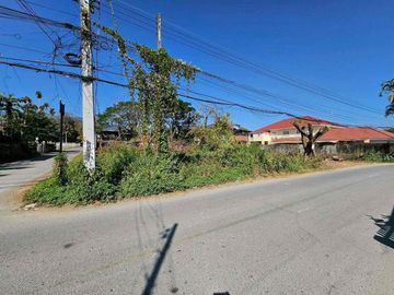 ✨ Property Details
Land plot with a total area of ​​403 square wa (approximately 196 square meters)