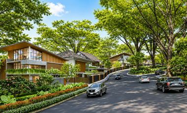 The Samanean at Paradise Farms Residential Lots for Sale | Prime Location & Flexible Payment Terms Available