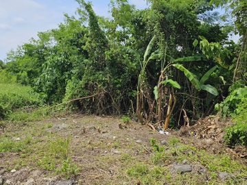 Dijual Tanah Kemenuh Sukawati Gianyar Siap Bangun Dekat Ubud