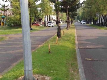 HOT news !!!.Hook 2 lantai VENESIA Depan taman budaya Sentul city. Strategis pakai banget Depan taman budaya Sentul city ,SHM