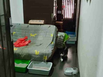 Repost turun harga
DIJUAL CEPAT Repost turun harga

Rumah Hook Siap Huni dan mewah di Cluster Asera one South