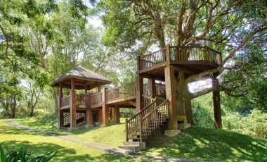 Ayala Greenfield Estates, 800 sqm, Greenside, Calamba, Laguna