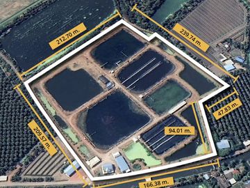 For Sale: Shrimp Farm in Samut Sakhon’s Aquaculture Hub for Investment