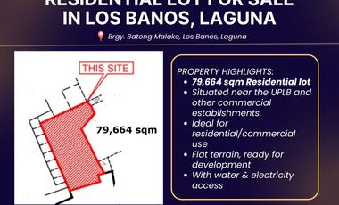 LOT FOR SALE IN LOS BANOS, LAGUNA
