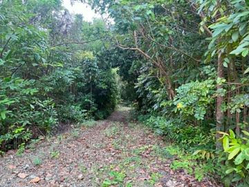 Residential Lot  SOLO, Clean Titled Puerto Princesa City Palawan