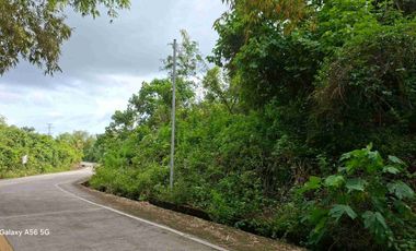 4HECTARES CONSOLIDATED LOT in Daanbantayan, Cebu