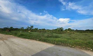 Titled Vacant Lot for Sale in Don Pedro ,Bogo City