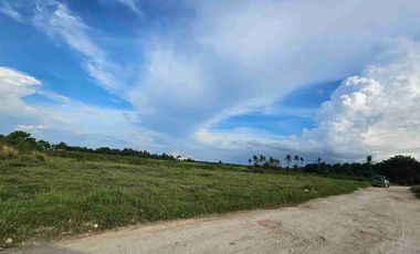 Titled Vacant Lot for Sale in Don Pedro ,Bogo City