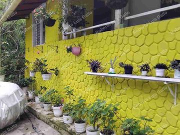 Se vende o se permuta casa finca en san rafael vda la samaria
