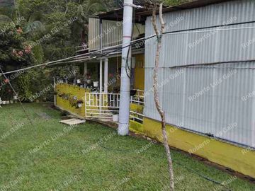 Se vende o se permuta casa finca en san rafael vda la samaria