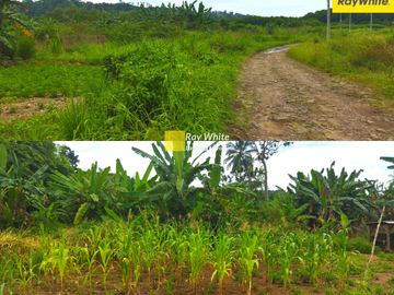 DIjual Tanah DI Huurun, Peluk Pandan, Pesawaran (Kode : AY 3559)