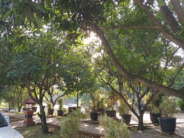 Dijual Rumah Mewah Luas 875 m2 Citra Gran Cibubur